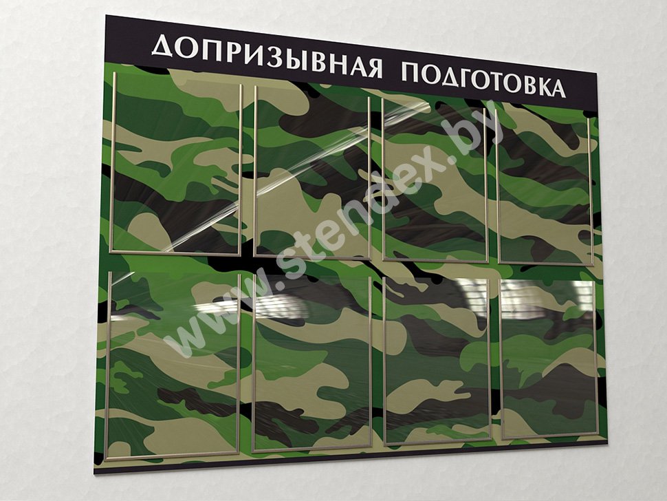 Допризывная и медицинская подготовка 