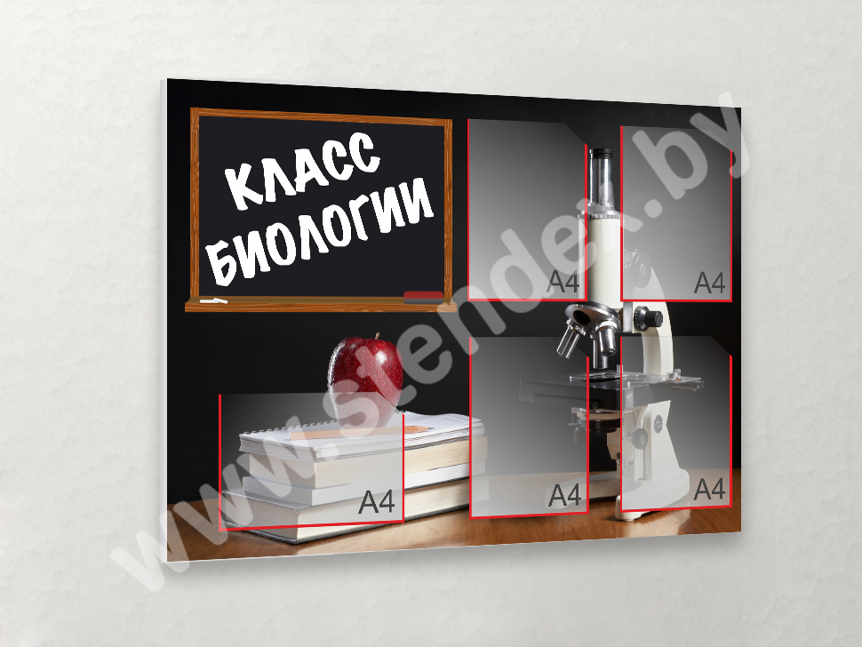 Биология 