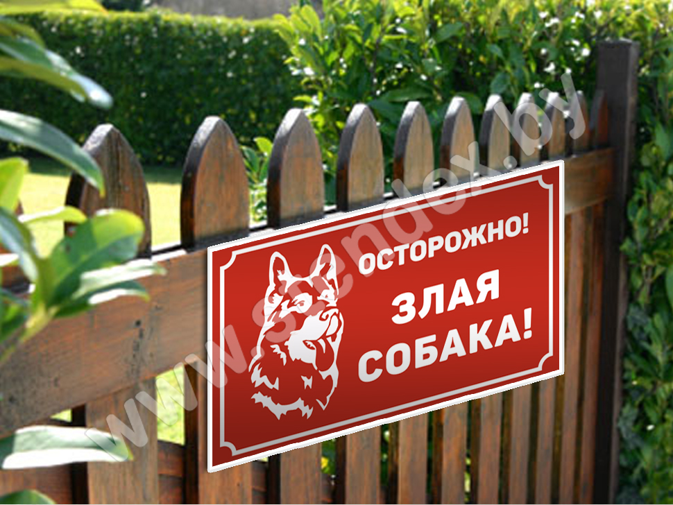 Осторожно, злая собака 