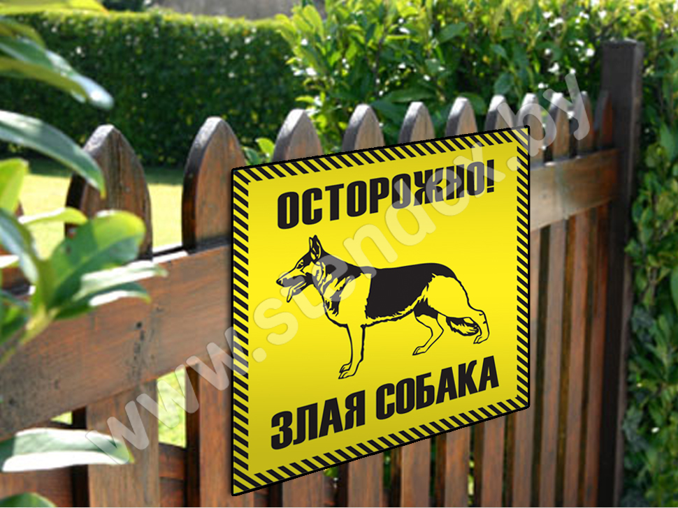Осторожно, злая собака 