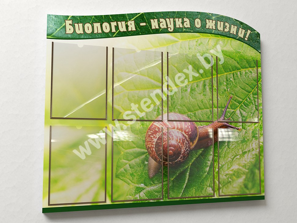Биология 