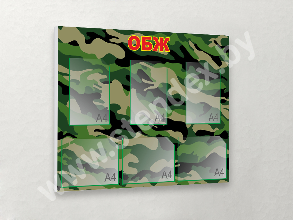 ОБЖ (Охрана безопасности и жизнедеятельности) 